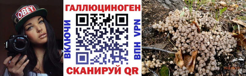 Псилоцибиновые грибы MAGIC MUSHROOMS  Купить закладки  Ленинск 